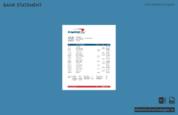 USA Capital One Kontoauszug Excel-Beispielvorschau
